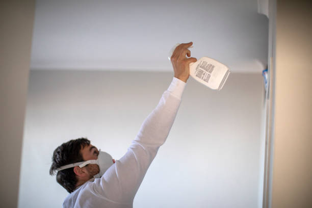 Best Black Mold Removal  in Carrollton, VA
