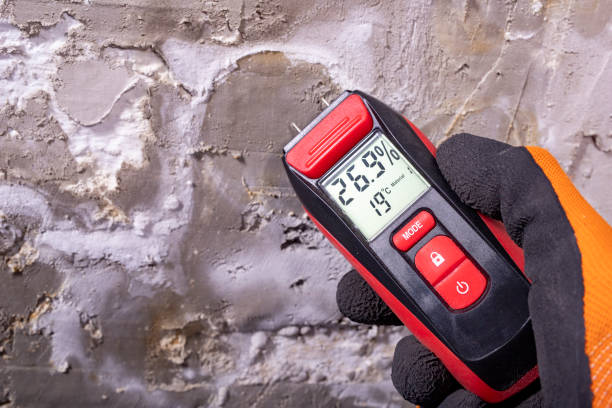Best Mold Cleaning Services  in Carrollton, VA