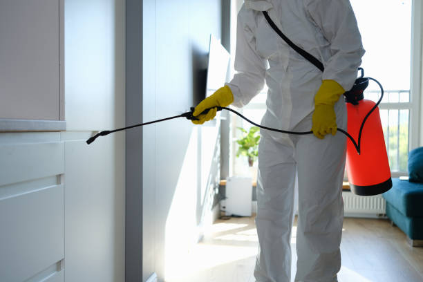Best Water Damage Restoration  in Carrollton, VA