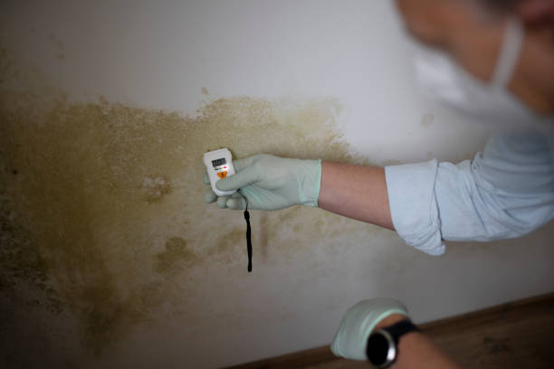 Best Water Damage Restoration  in Carrollton, VA