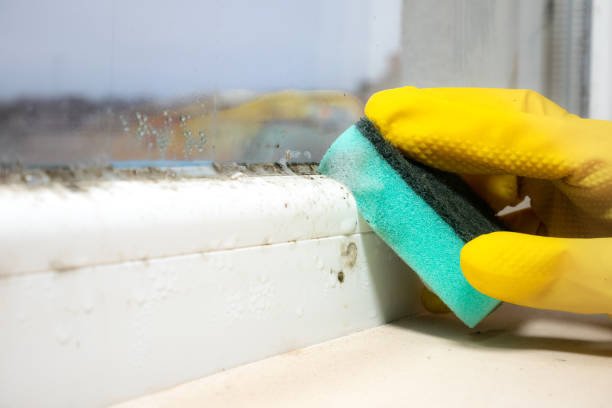 Carrollton, VA Mold Removal Company