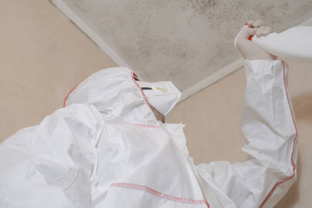 Best Mold Removal and Inspection  in Carrollton, VA