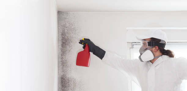 Best Office Mold Removal Services  in Carrollton, VA
