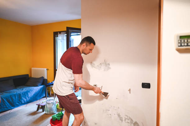 Best Mold Removal Near Me  in Carrollton, VA
